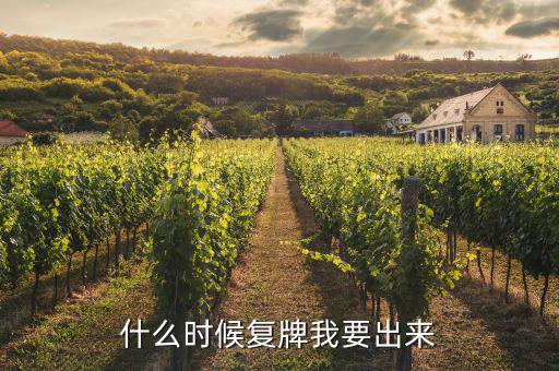 什么時(shí)候復(fù)牌我要出來(lái)