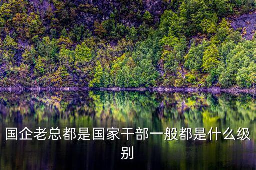 中交地產(chǎn)總經(jīng)理屬于什么級別干部，國企老總都是國家干部一般都是什么級別