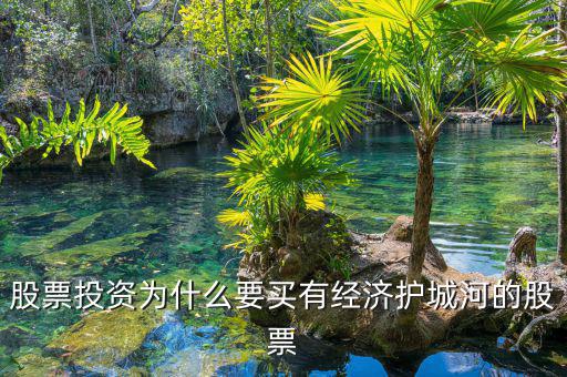 什么是股票投資的護城河理論，從基本面看證券投資的護城河是指哪幾類情況