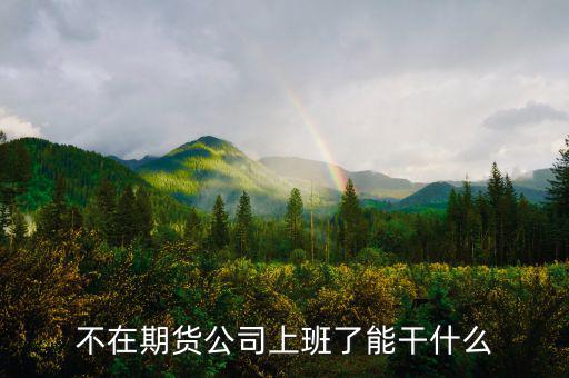 去期貨公司能做什么，本人去某期貨公司總部適合做什么