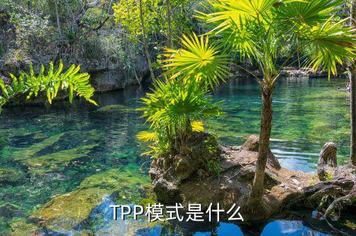 tpp什么時(shí)候生效，TPP文件時(shí)什么東西