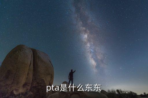 pta行業(yè)是什么，pta是什么東東
