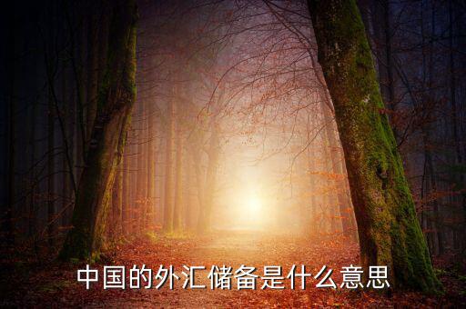 中國外匯儲(chǔ)備包括什么，我國外匯儲(chǔ)備