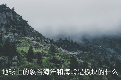 誠益通屬于什么板塊，地球上的裂谷海洋和海嶺是板塊的什么