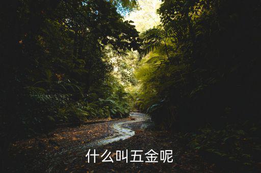 什么叫一市五金多套餐，知不知道招聘里說的 五金齊全是指什么