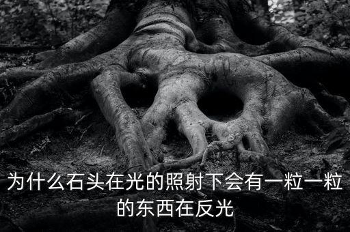中金星石為什么這么差，為什么石頭在光的照射下會(huì)有一粒一粒的東西在反光