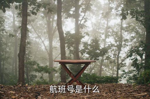 航班號ms什么，MS是什么航空
