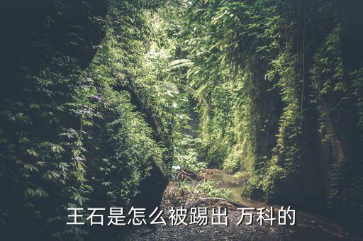 萬科怎么回事,王石離職為萬科埋下伏筆