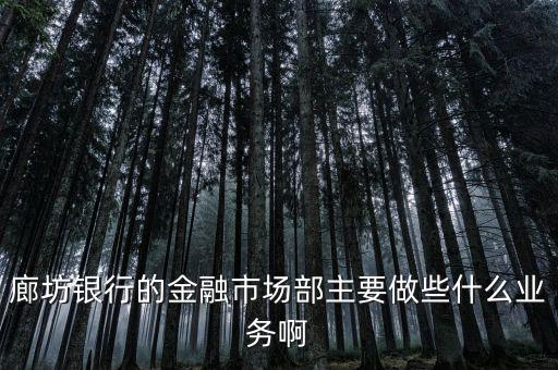 齊飛金融主營(yíng)什么業(yè)務(wù)，堅(jiān)固金融都有什么業(yè)務(wù)實(shí)力怎么樣