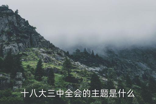 中全會講什么，七屆二中全會的主要內容是什么啊