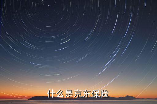 京東品質(zhì)險(xiǎn)是什么意思，京東交通險(xiǎn)是什么意思