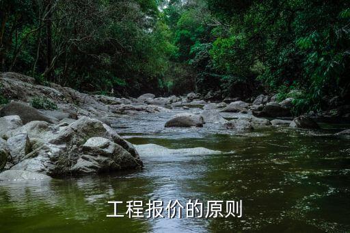 報價的基本原則是什么，投標人自主決定報價應(yīng)該遵循什么原則