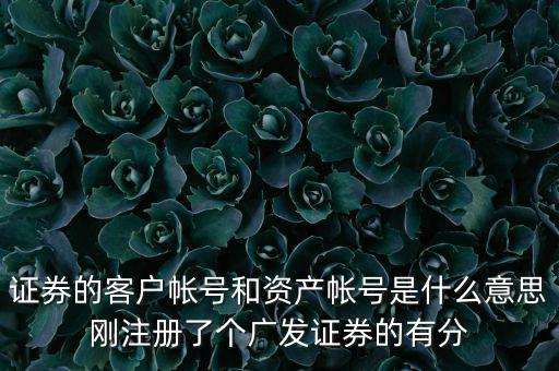 申萬宏源資產(chǎn)賬號是什么，我知道瀘A股東的賬號怎么查資金賬號申萬宏源
