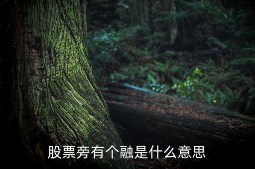 融買融賣是什么意思，股票旁有個融是什么意思
