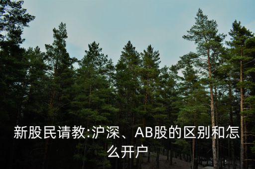 新股民請教:滬深、AB股的區(qū)別和怎么開戶