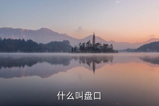 大盤口什么意思，大盤中的盤口是什么意思啊