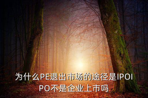pe為什么要退出，為什么PE退出市場的途徑是IPOIPO不是企業(yè)上市嗎