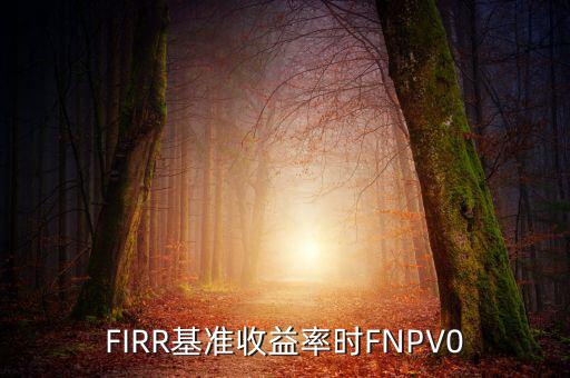 收益率什么時候為正，F(xiàn)IRR基準(zhǔn)收益率時FNPV0