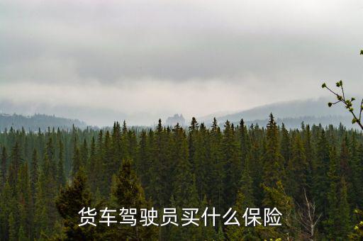 貨車司機(jī)買什么保險(xiǎn)好，大貨車買什么保險(xiǎn)最好
