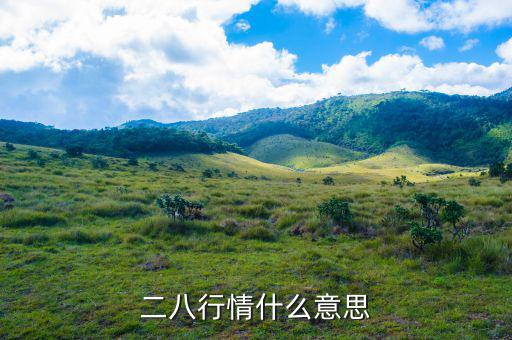 什么是288指數(shù)，股票二八現(xiàn)象是什么意思