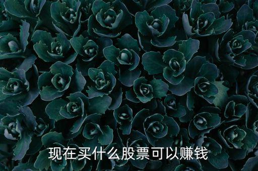 今年買什么股票可以賺錢，現(xiàn)在買什么股票可以賺錢
