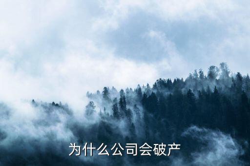 凱銀集團(tuán)為什么破產(chǎn)了，公司破產(chǎn)的原因是什么