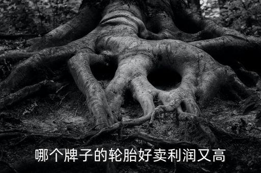 什么輪胎利潤(rùn)大，哪個(gè)牌子的輪胎好賣(mài)利潤(rùn)又高