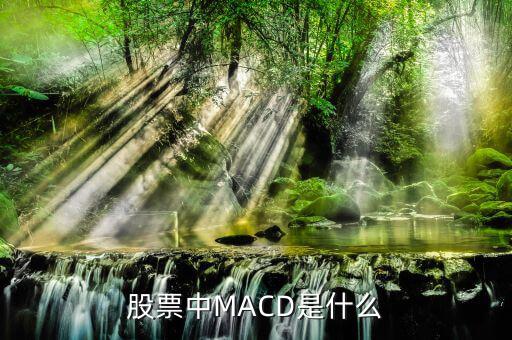 股市里MACD是什么意思，股票中MACD指標是什么意思