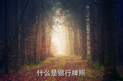 銀行牌照是什么，什么是銀行牌照