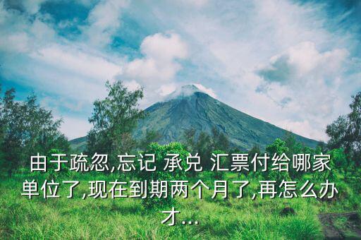 承兌匯票不知道給了哪家公司怎么查,承兌匯票查詢(xún)交易記錄
