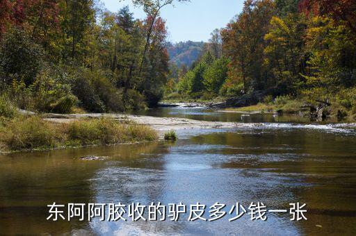 東阿阿膠股2012年是什么價(jià)位，誰知道山東東阿阿膠股份有限公司生產(chǎn)的補(bǔ)血膏多少錢一平300克的