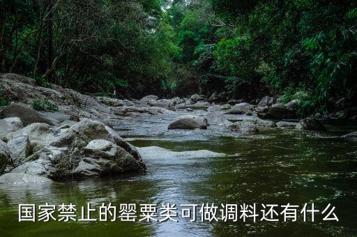國家違禁香料有什么，國家禁止的罌粟類可做調(diào)料還有什么