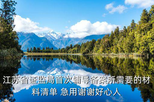 輔導(dǎo)備案登記受理是什么階段，我想問(wèn)一下辦一般納稅人申請(qǐng)后我們的輔導(dǎo)期是當(dāng)月 15小