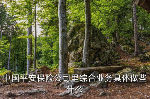 中國平安做什么的，中國平安是干什么的