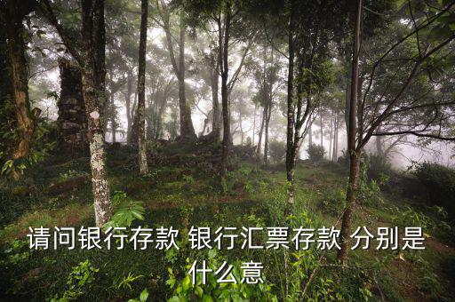 請問銀行存款 銀行匯票存款 分別是什么意