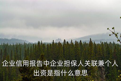 擔保人關(guān)聯(lián)是什么意思，企業(yè)征信中 擔保人關(guān)聯(lián)是什么意思