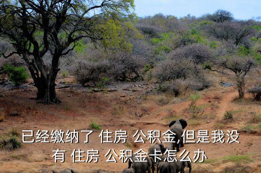 已經(jīng)繳納了 住房 公積金,但是我沒(méi)有 住房 公積金卡怎么辦