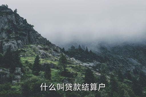 什么是有貸戶，什么叫居民戶貸款