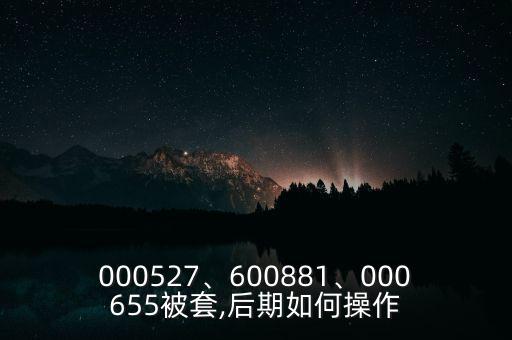 000527、600881、000655被套,后期如何操作
