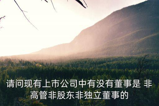 什么是非獨立董事，什么叫執(zhí)行董事非執(zhí)行董事和獨立非執(zhí)行董事