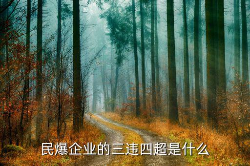 民爆企業(yè)的精髓是什么，民爆公司是甚么性質(zhì)單位