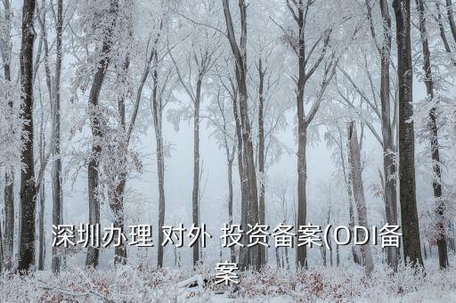 深圳辦理 對(duì)外 投資備案(ODI備案