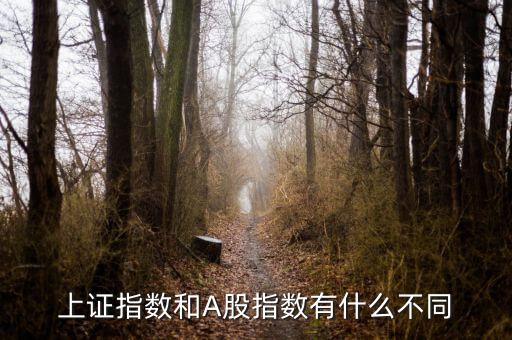 上證指數(shù)和A股什么區(qū)別，上證指數(shù)和A股指數(shù)有什么不同