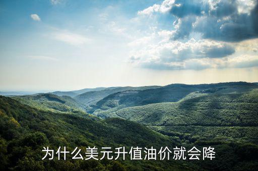 美國油價(jià)為什么跌，美國原油價(jià)格為什么會(huì)從100多美元跌到43美元并且分析以后的趨勢