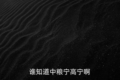 寧高寧為什么離開華潤，誰知道中糧寧高寧啊