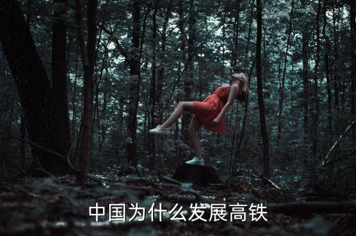 中國為什么大力發(fā)展高鐵，中國為什么發(fā)展高鐵