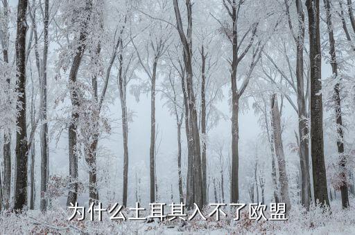 為什么土耳其無法加入歐盟，為什么土耳其入不了歐盟