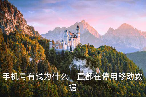鏈動(dòng)數(shù)據(jù)為什么有錢，廣東鏈動(dòng)為什么那么多人認(rèn)同和喜歡