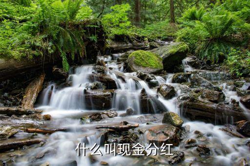 理財(cái)產(chǎn)品現(xiàn)金分紅是什么意思，現(xiàn)金分紅是什么意思