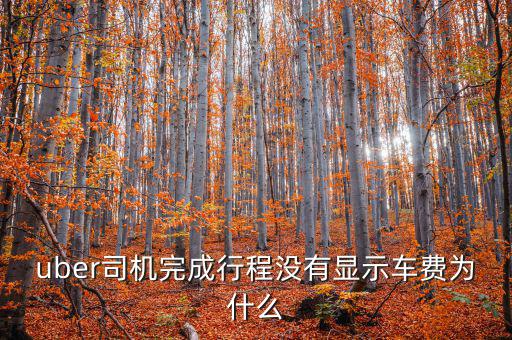uber為什么不顯示價(jià)格，優(yōu)步叫車前看不到價(jià)格